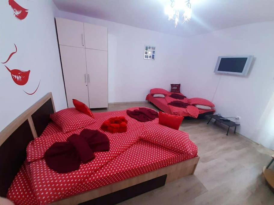 Cazare Centru Braşov Esterno foto